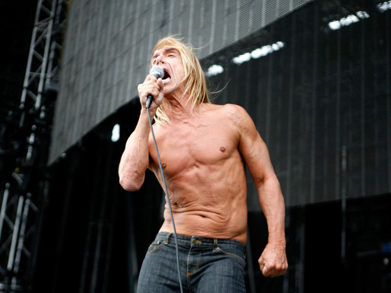 BK4N3D Iggy Pop performs at the Virgin Mobile Music Festival.