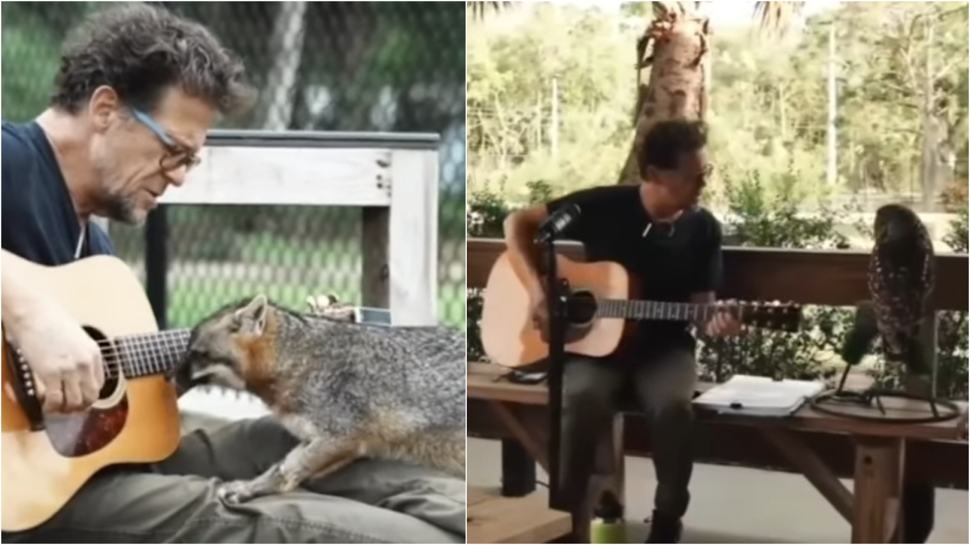 Jason Newsted (Metallica) interpreta canciones en acústico para los animales de un refugio